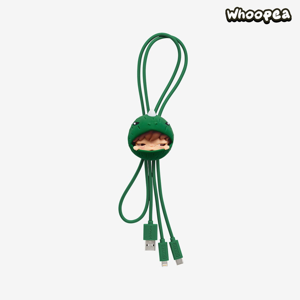 Hirono Echo Series-2 in 1 Cable Blind Box